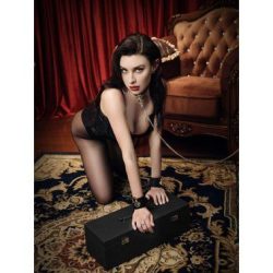 Zalo Collar and Leash Set Black - Розкішний нашийник з повідцем (чорний) - Зображення 2