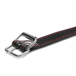 Master Series Dog Bone Gag - силіконовий кляп кісточка, 15.4 см (чорний) - Зображення 2
