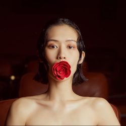 Zalo - Rose Ball Gag - Розкішний кляп у вигляді троянди - Зображення 10