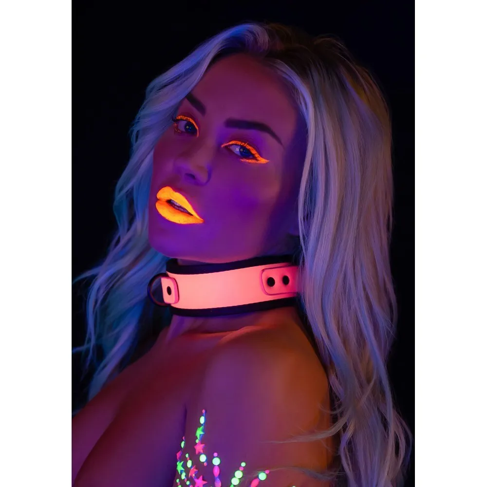 Taboom Collar and Chain Leash — фото 3