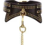 Taboom Ошейник с поводком Taboom Studded Collar and Leash — фото 3