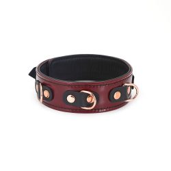 Шкіряний нашийник з повідцем Liebe Seele Wine Red Collar and Leash - Зображення 2