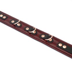 Шкіряний нашийник з повідцем Liebe Seele Wine Red Collar and Leash - Зображення 8