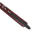Liebe Seele Шкіряний нашийник з повідцем Liebe Seele Wine Red Collar and Leash — фото 6