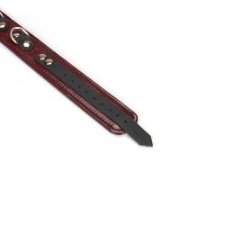 Шкіряний нашийник з повідцем Liebe Seele Wine Red Collar and Leash - Зображення 6