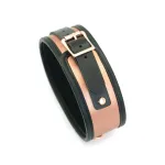 Liebe Seele Широкий нашийник з повідцем Liebe Seele Rose Gold Memory Collar with Leash — фото 3