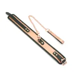 Liebe Seele Широкий нашийник з повідцем Liebe Seele Rose Gold Memory Collar with Leash — фото 2