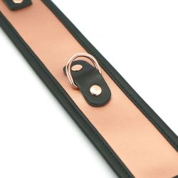 Широкий нашийник з повідцем Liebe Seele Rose Gold Memory Collar with Leash - Зображення 7