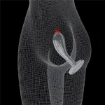 LoveToy Flawless Clear Prostate Plug 6,0″ — фото 3