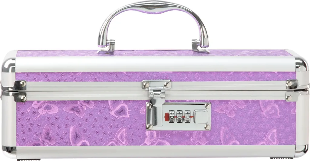 Кейс BMS Factory The Toy Chest з кодовим замком і декором-метеликами