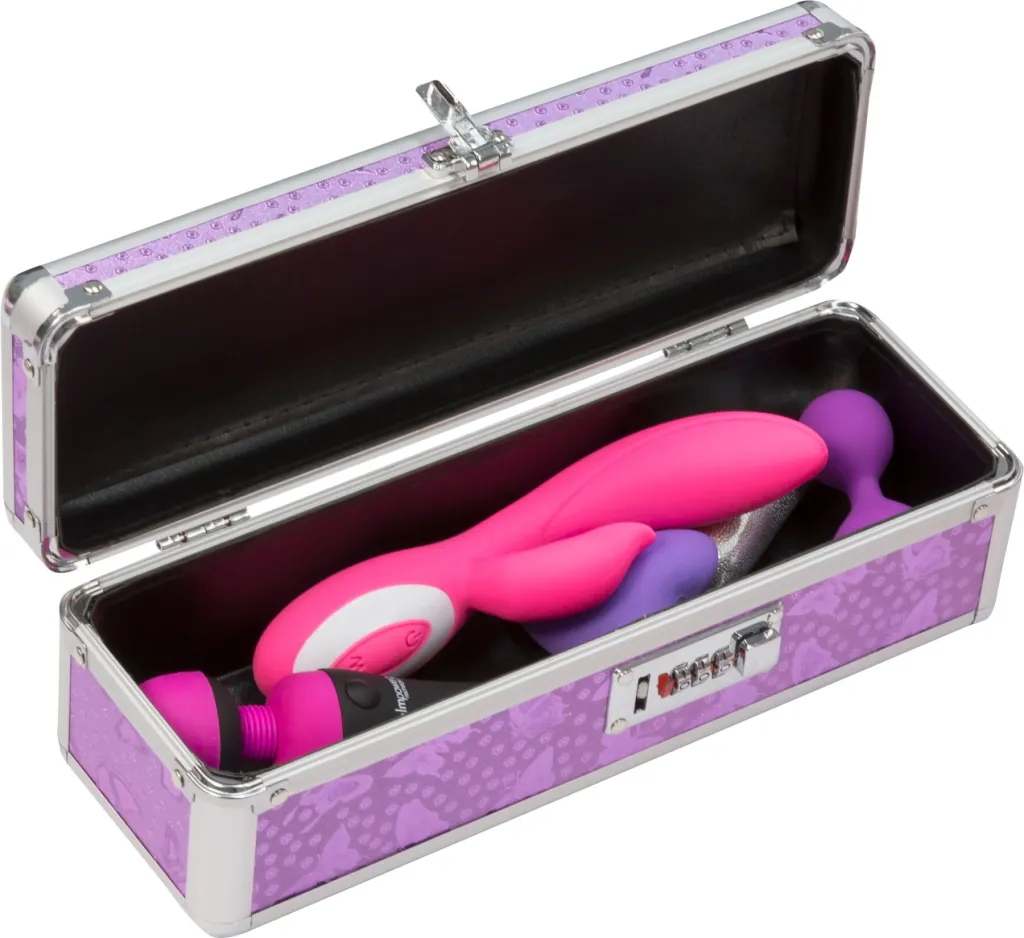 BMS Factory The Toy Chest Lockable Vibrator Case — фото 5