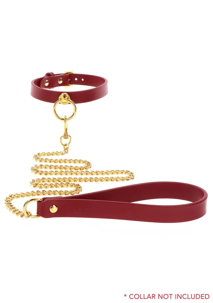 Taboom Chain Leash — фото 4
