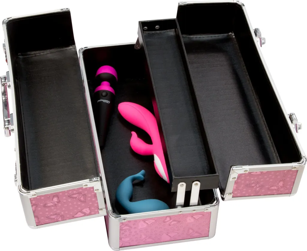 BMS Factory Large Lockable Vibrator Case — фото 6