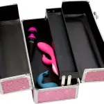 Bms Factory Large Lockable Vibrator Case — фото 6