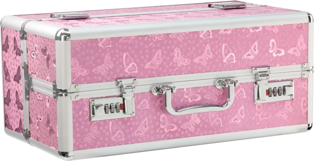 BMS Factory Large Lockable Vibrator Case — фото 2