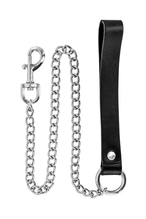 Fetish Tentation Premium Metal Leash — фото 3